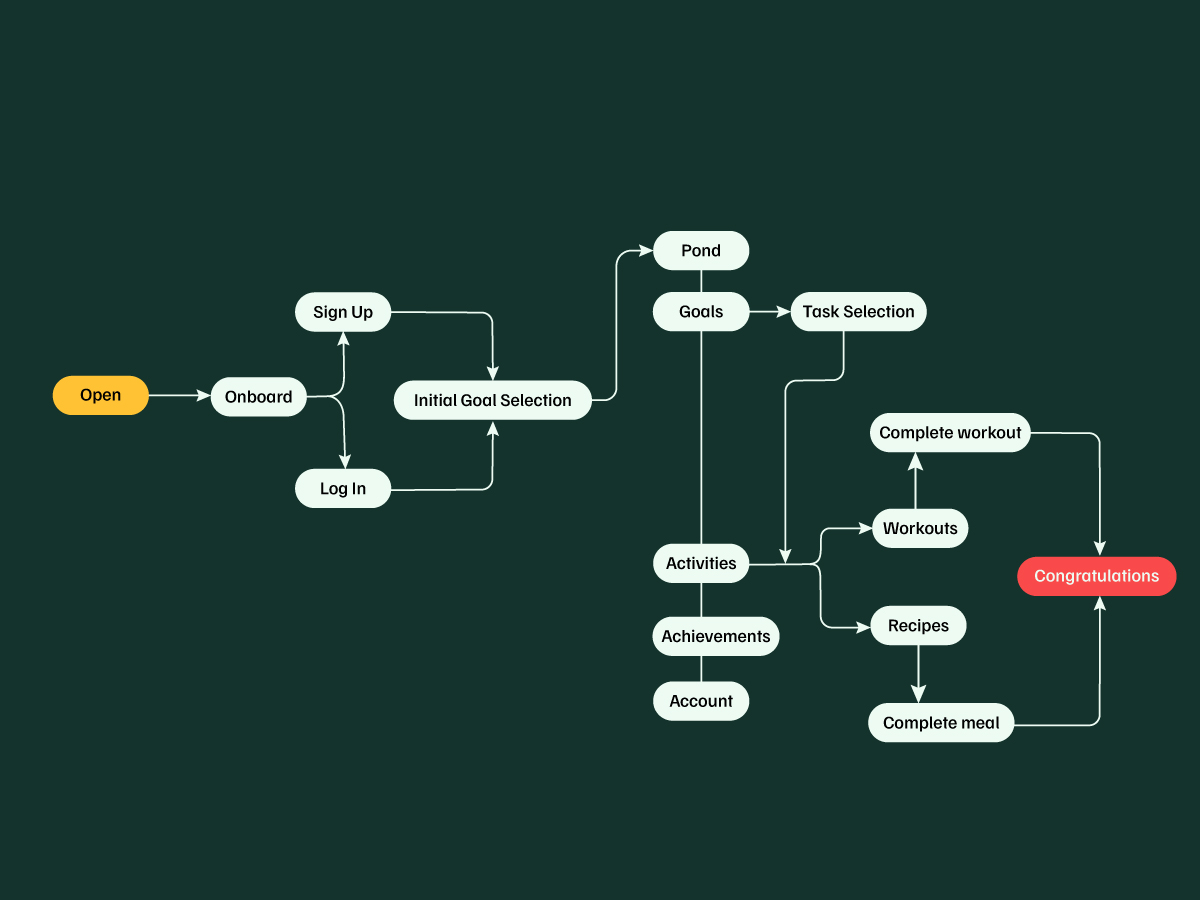 User flow